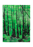 File Folder (Mina Papatheodorou Valyraki "Into the woods" theme)